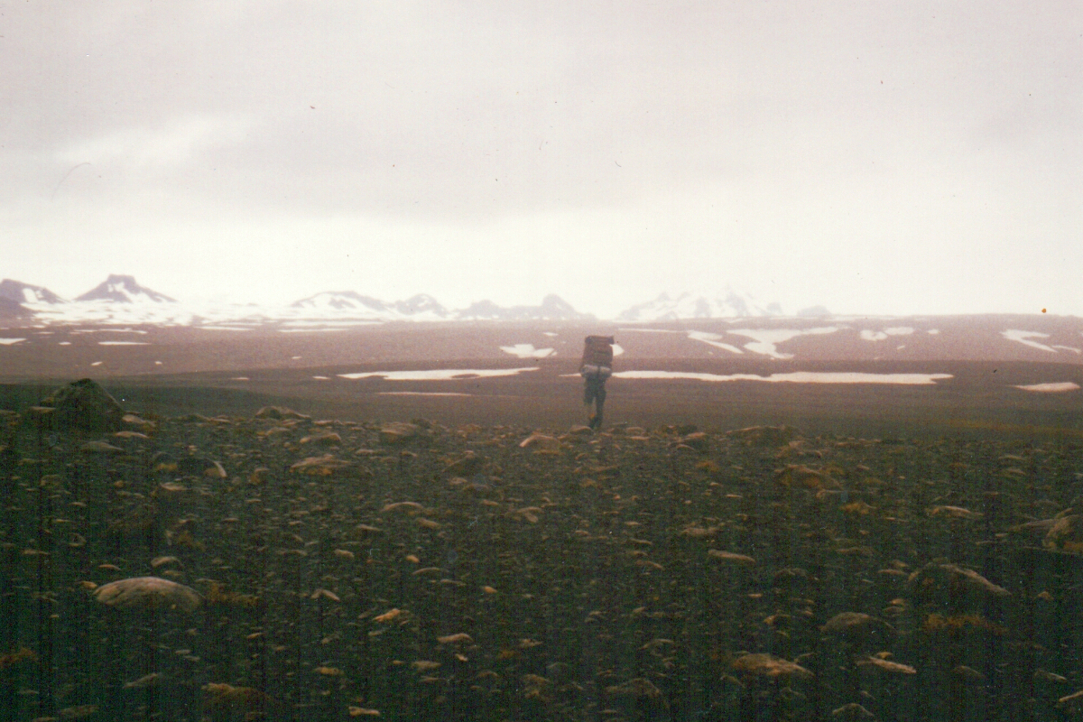 Stilla U (1993) Island